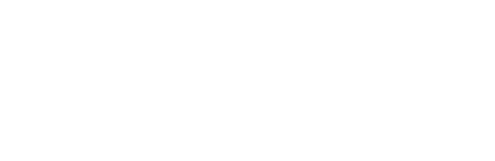 Intelligent Ageing
